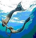 
Thumbnail image of a merman and mermaid swimming together