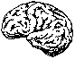 
Thumbnail image of a human brain.